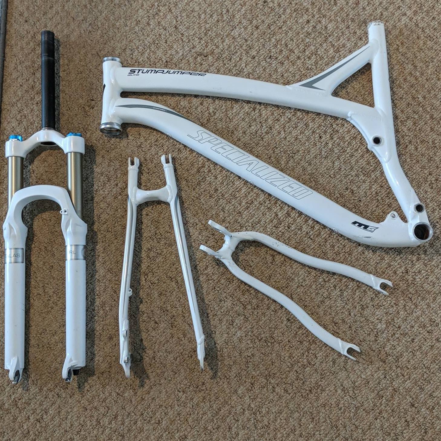 Specialized 1